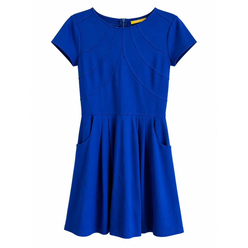 Gianni Bini Royal Blue Fit & Flare Dress – Size Small – Pockets!